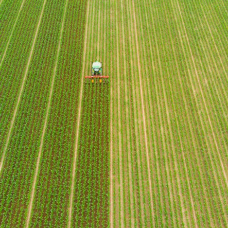 field